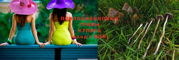 spice Покачи