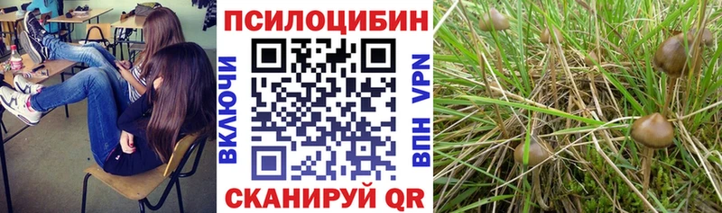 Галлюциногенные грибы прущие грибы  Нижняя Тура 